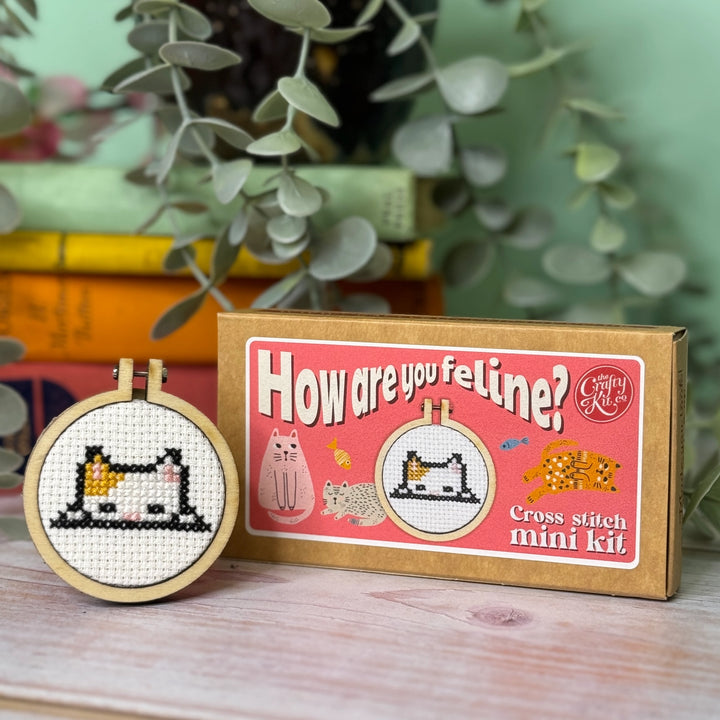 Mini Matchbox Cross Stitch Kit - How Are you Feline?