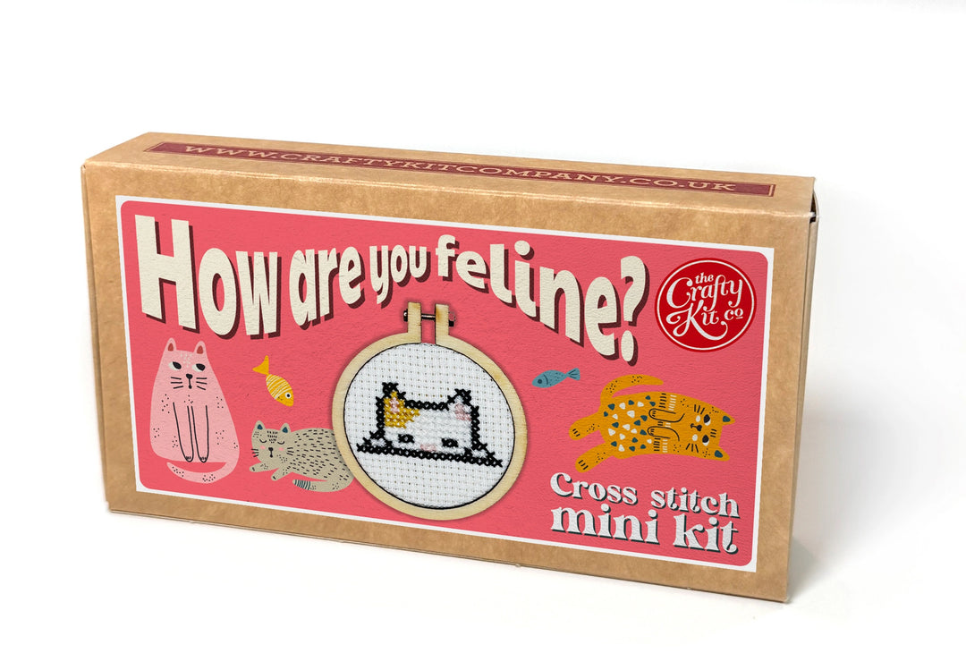 Mini Matchbox Cross Stitch Kit - How Are you Feline?