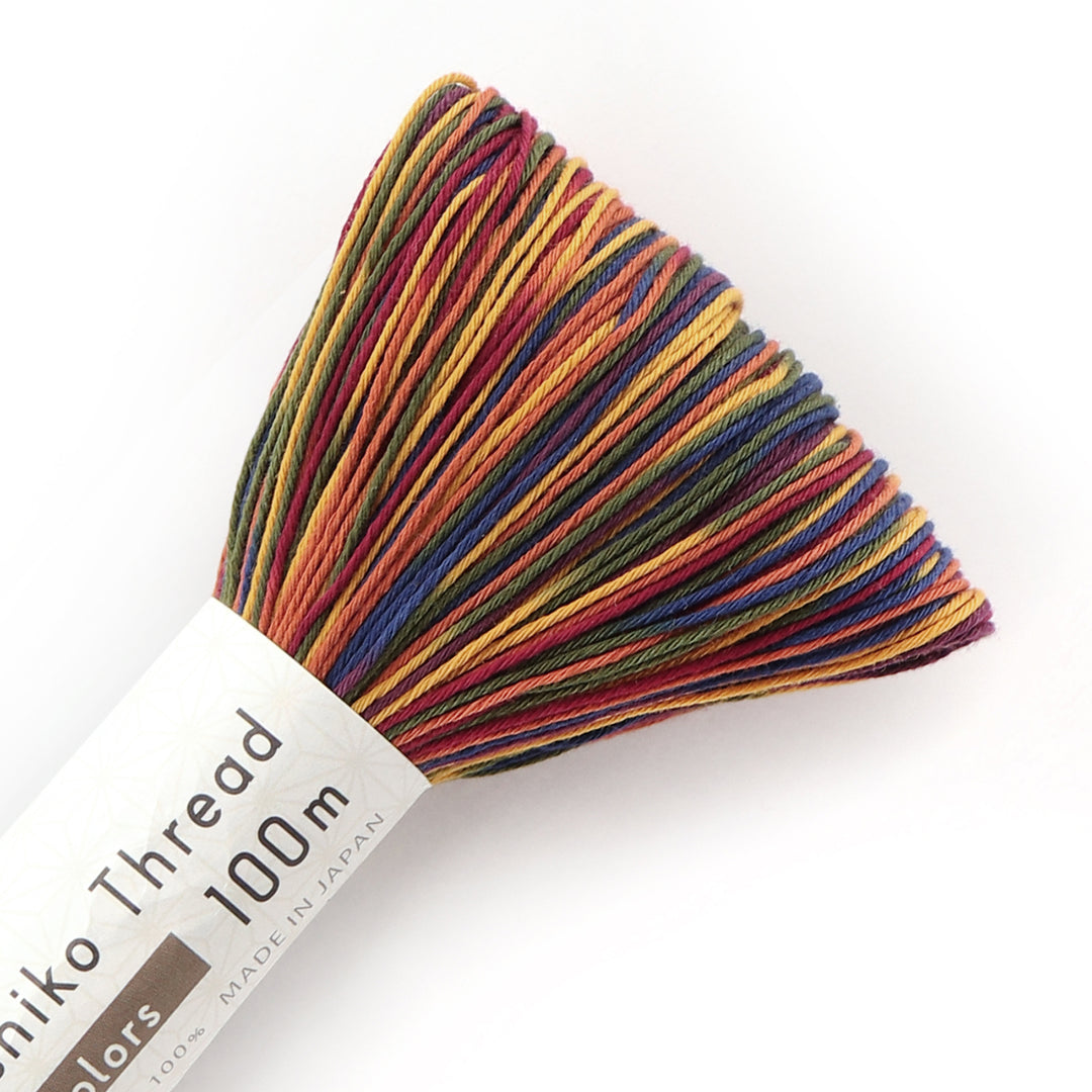 100m Skein Olympus Variegated Sashiko Thread - Parquest (#304)