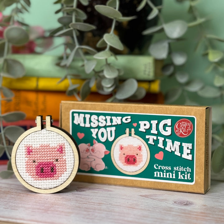 Mini Matchbox Cross Stitch Kit - Missing You Pig Time