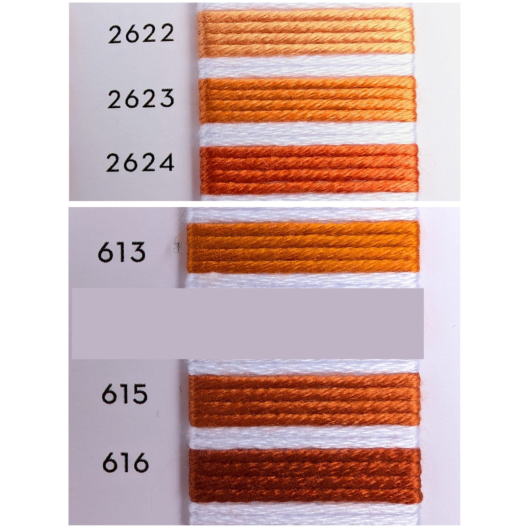 Soie d'Alger Silk Embroidery Thread - Oranges
