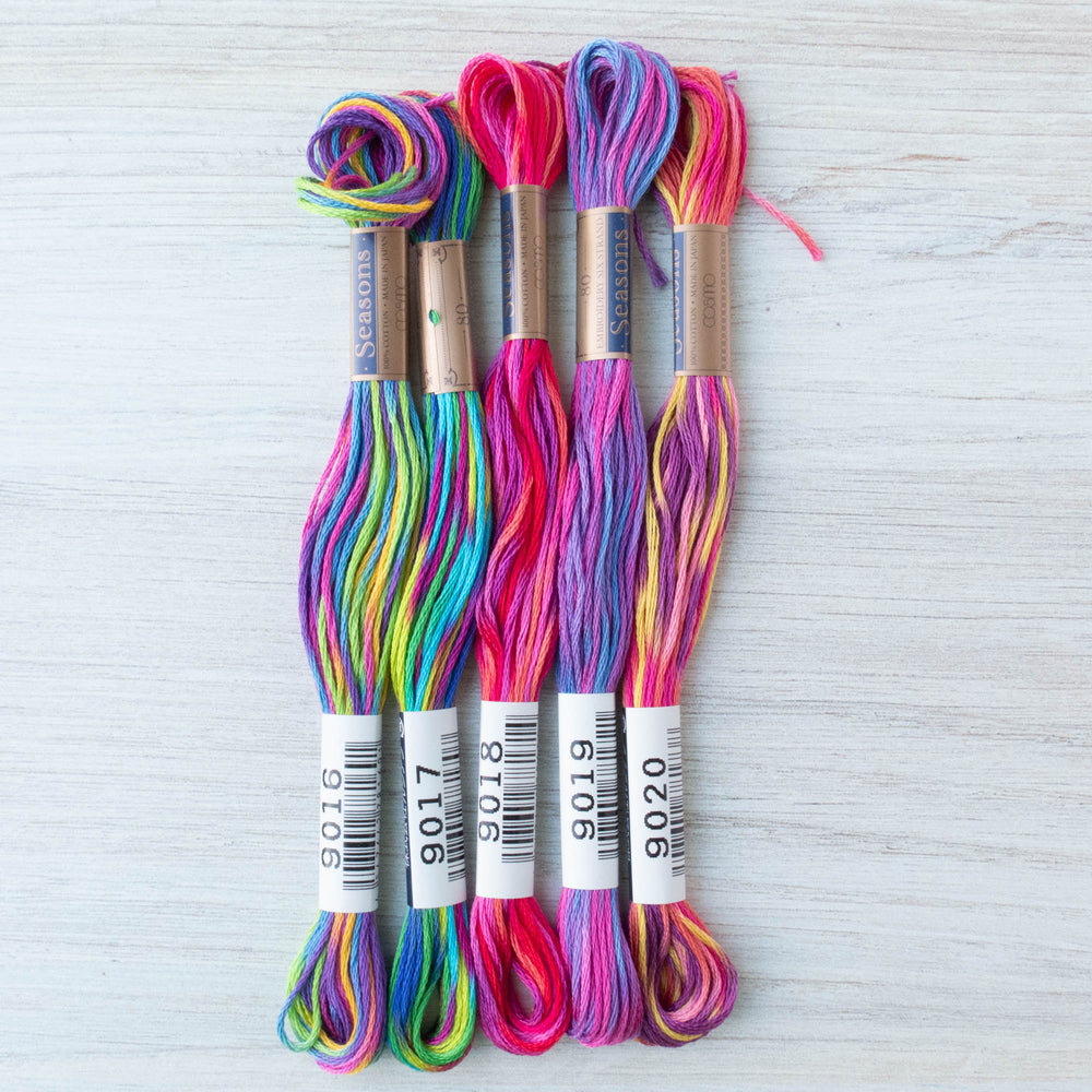 COSMO Seasons Variegated Embroidery Floss - 9016, 9017, 9018, 9019, 9020 Floss - Snuggly Monkey