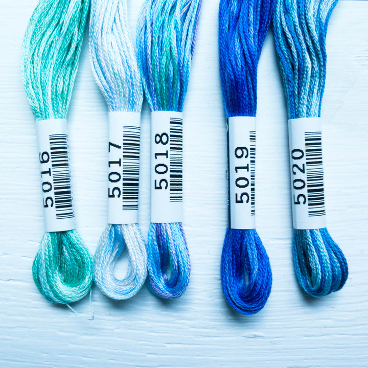 COSMO Seasons Variegated Embroidery Floss - 5016, 5017, 5018, 5019, 5020 Floss - Snuggly Monkey