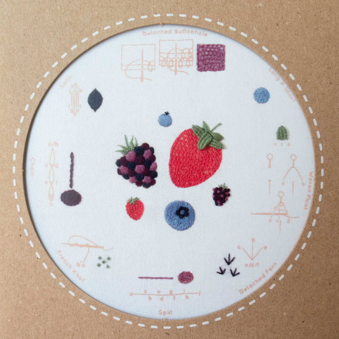 Berries Embroidery Stitch Sampler