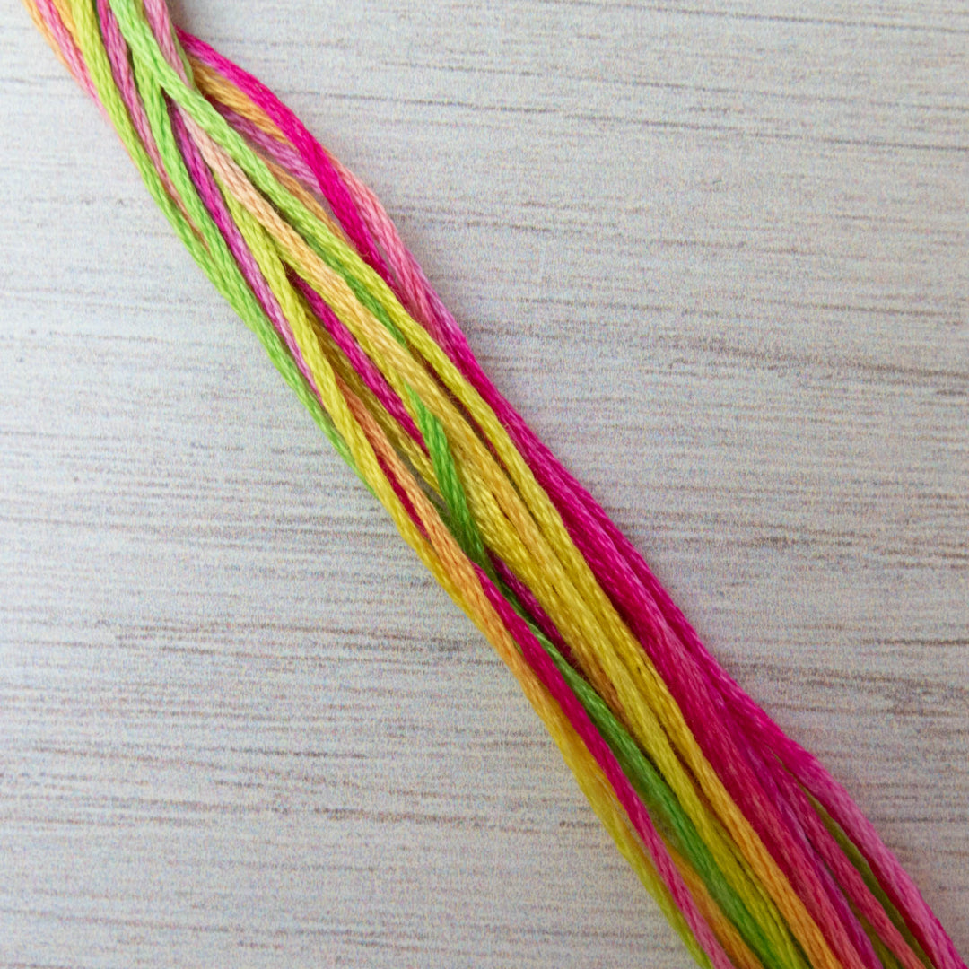 Weeks Dye Works Hand Over Dyed Embroidery Floss - Calypso (4143)