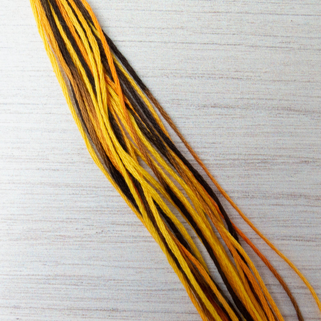Weeks Dye Works Hand Over Dyed Embroidery Floss - Trick or Treat (4101)