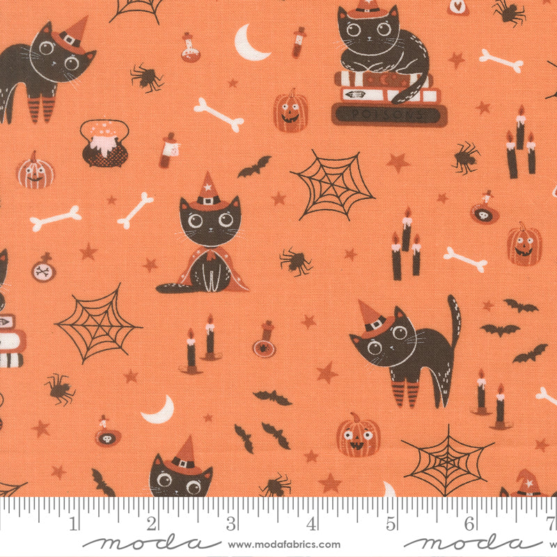 Elena Amo PURRS & BOOS Fabric - Black Cats on Pumpkin (39060-14)