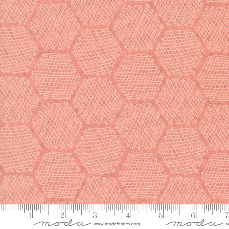 Gingiber Bee Garden - Carnation Honeycomb (48416 16)