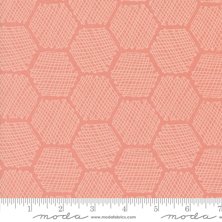 Gingiber Bee Garden - Carnation Honeycomb (48416 16)