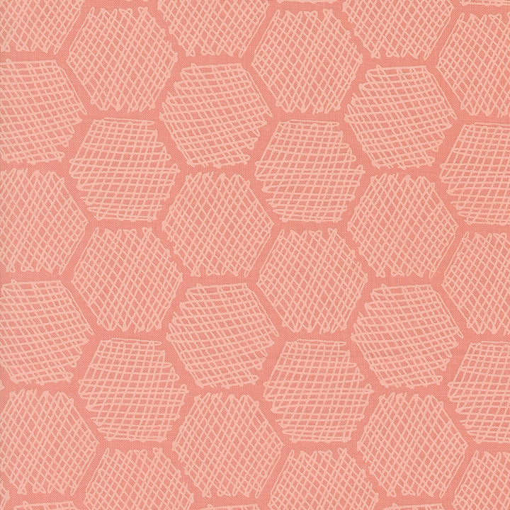 Gingiber Bee Garden - Carnation Honeycomb (48416 16)