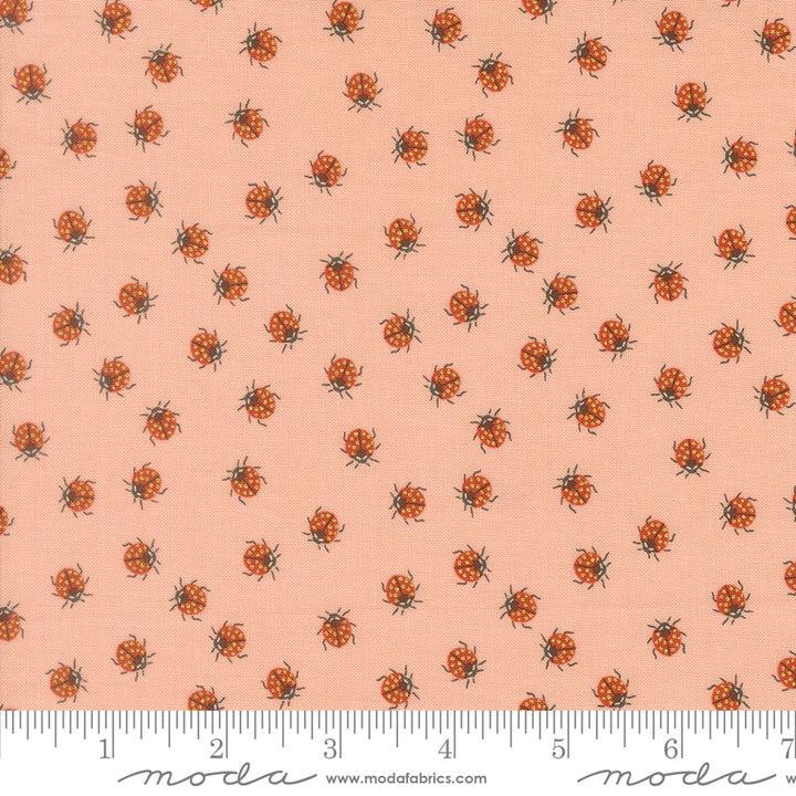 Gingiber Ladybug Whimsy - Ladybugs on Pretty Pink (4844615)