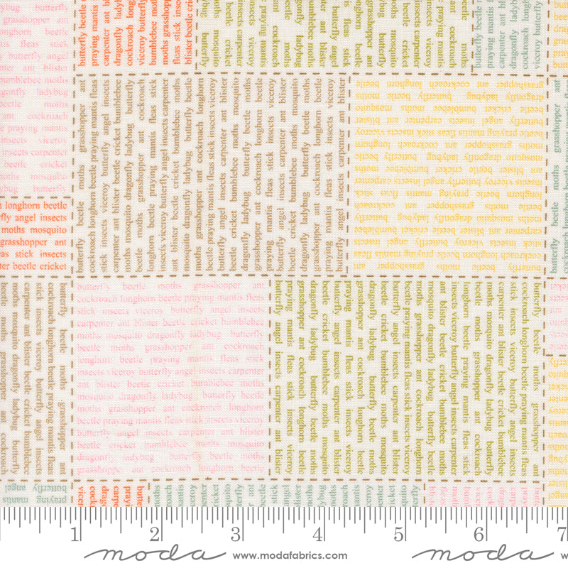 Sweetwater BUG COLLECTOR Cotton Fabric - Patchwork Text (M5573011)