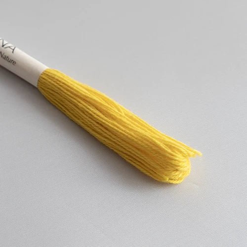 Natural Dyed Sashiko Thread Bundle - SUNNY (8 Mini-Skeins)