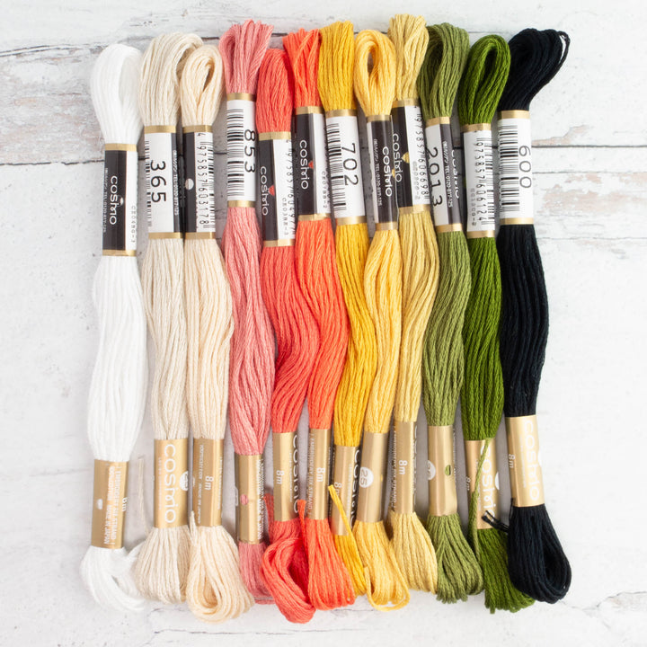 Cosmo Embroidery Floss Set :: Bee Garden Day