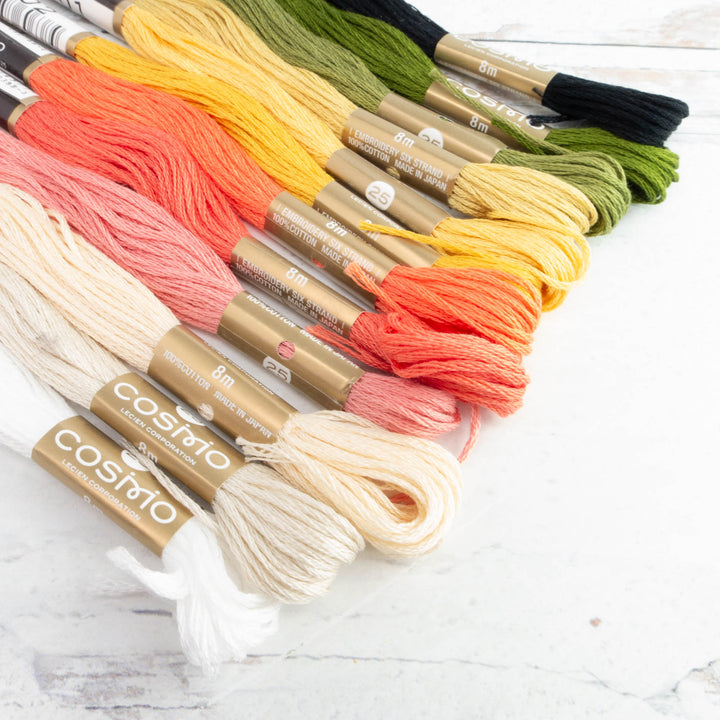 Cosmo Embroidery Floss Set :: Bee Garden Day