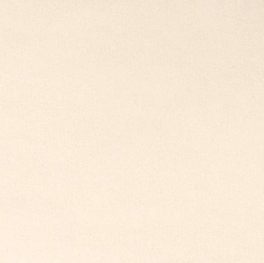 Shannon Cuddle Minky Fabric - Pearl