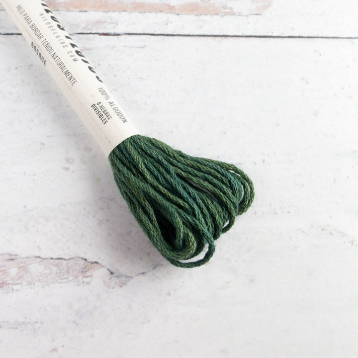 Natural Dyed Cotton Embroidery Floss - Bosque (112)