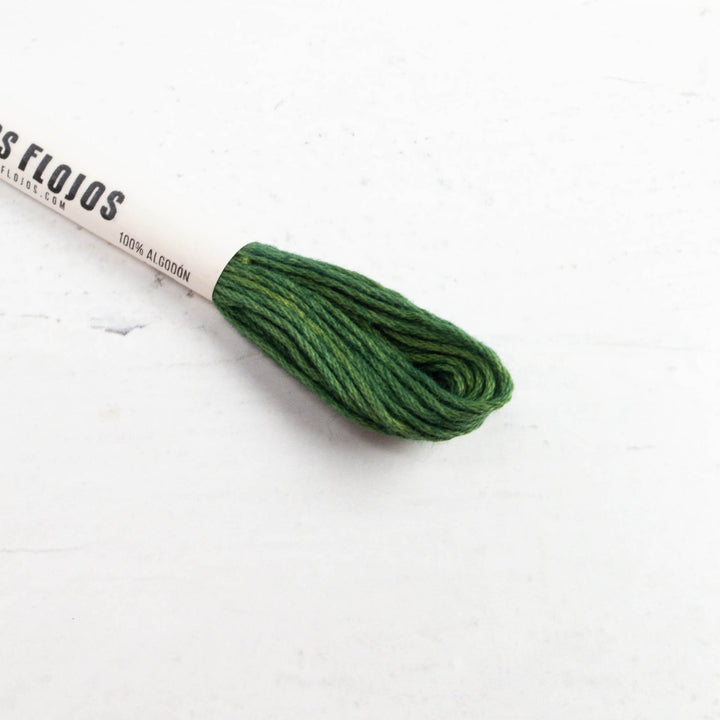 Natural Dyed Cotton Embroidery Floss - Jungla (127)