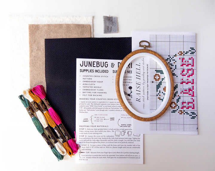 Raise Hell Cross Stitch Kit