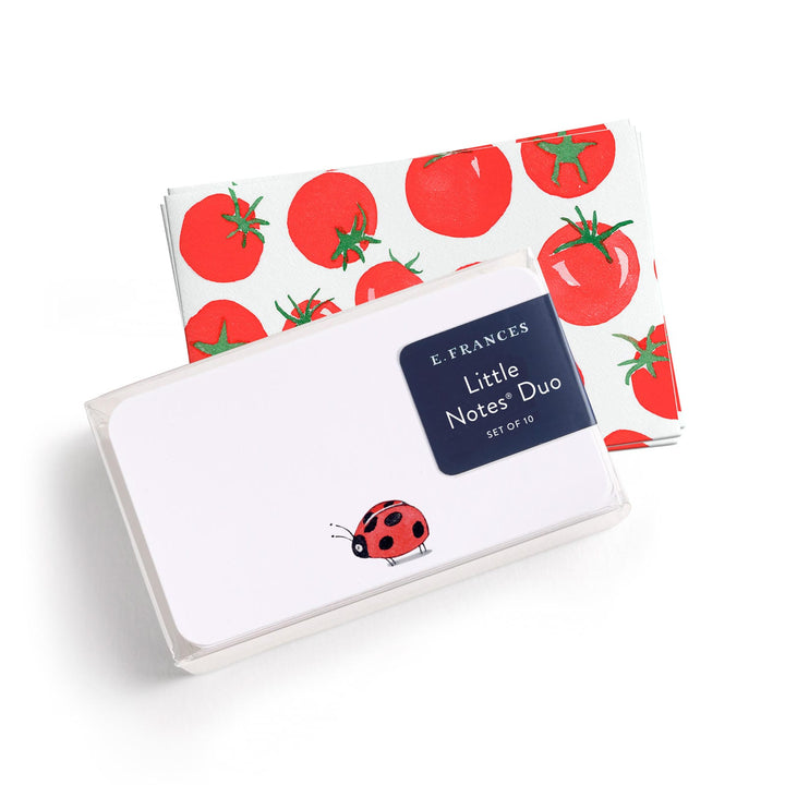 Ladybug Little Notes Duo Set