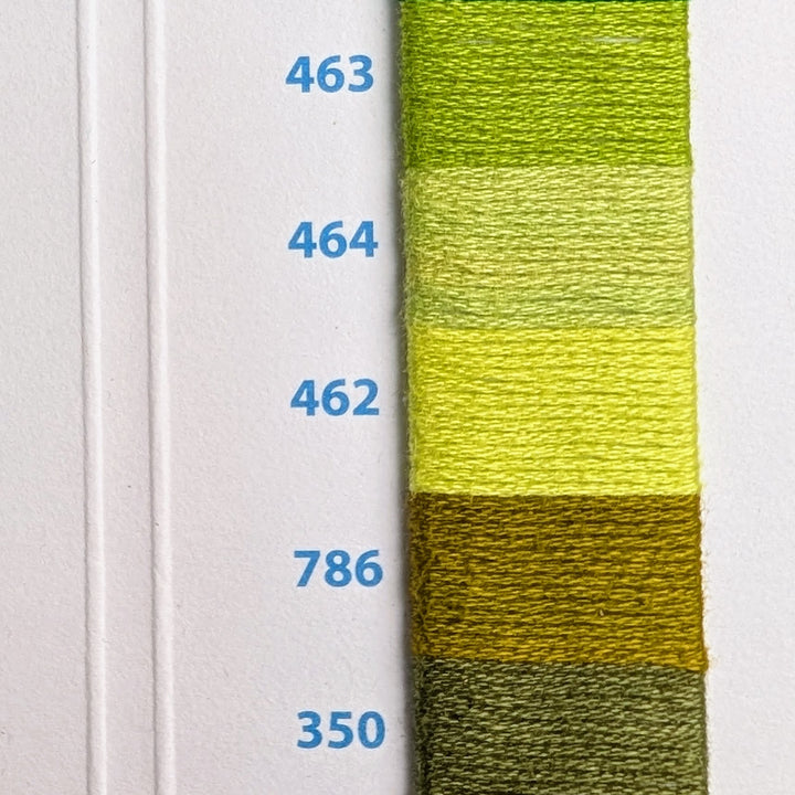 Close-up of various green embroidery thread shades labeled with numbers, featuring Hilo Vela El Globo Embroidery Thread (8m Skeins) - Muted Green for modern needlework and Japanese craft supplies.