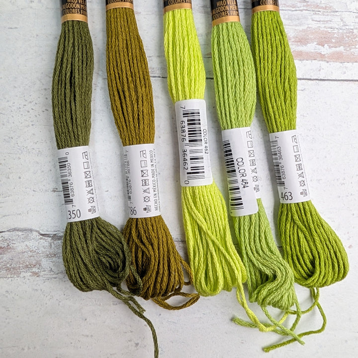 Five skeins of Hilo Vela El Globo Embroidery Thread (8m Skeins) - Muted Green in varying shades of green, displayed on a light wooden surface for needlework and embroidery projects.