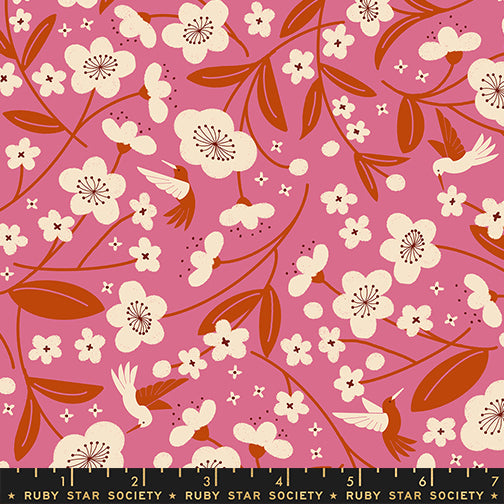 Ruby Star Society PERSIMMON - Floral Hummingbirds on Hibiscus (RSS2111)