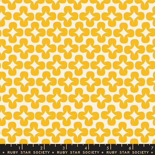 Ruby Star Society PERSIMMON - Plus in Dandelion (RSS2511)