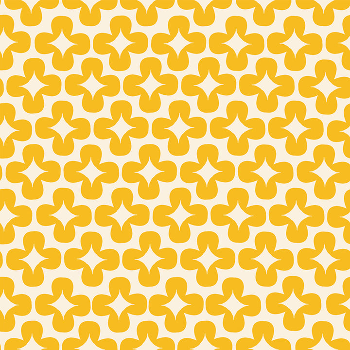 Ruby Star Society PERSIMMON - Plus in Dandelion (RSS2511)