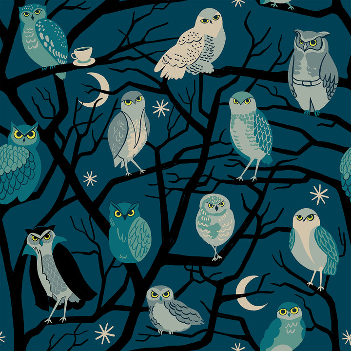 Ruby Star Society FREAKY FAMILIARS - Owls on Galaxy (RSS5190-12)