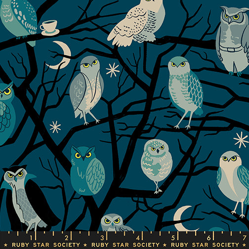 Ruby Star Society FREAKY FAMILIARS - Owls on Galaxy (RSS5190-12)
