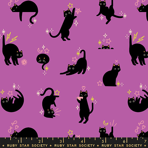 Ruby Star Society FREAKY FAMILIARS - Black Cats on Witchy (RSS5193-13)