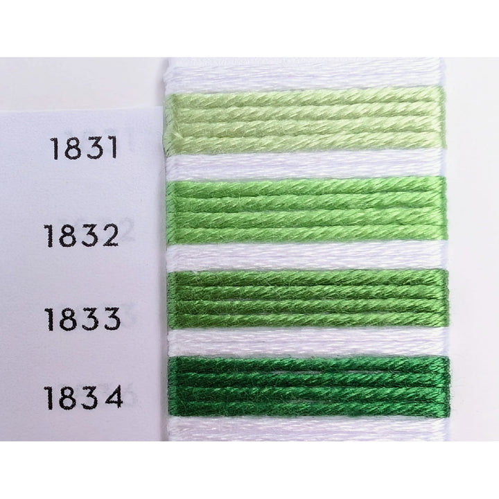 Soie d'Alger Silk Embroidery Thread - Green Vert Bouteille