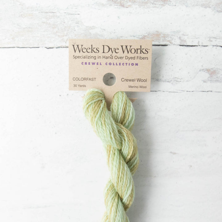 Hand Over Dyed Crewel Wool Yarn - Dried Sage (1191)