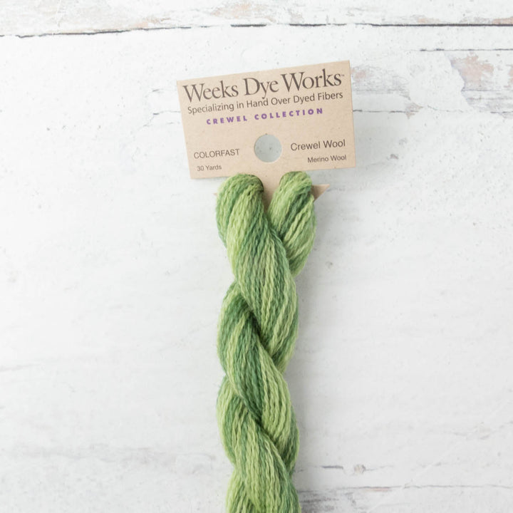 Hand Over Dyed Crewel Wool Yarn - Ivy (2198)