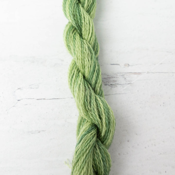 Hand Over Dyed Crewel Wool Yarn - Ivy (2198)