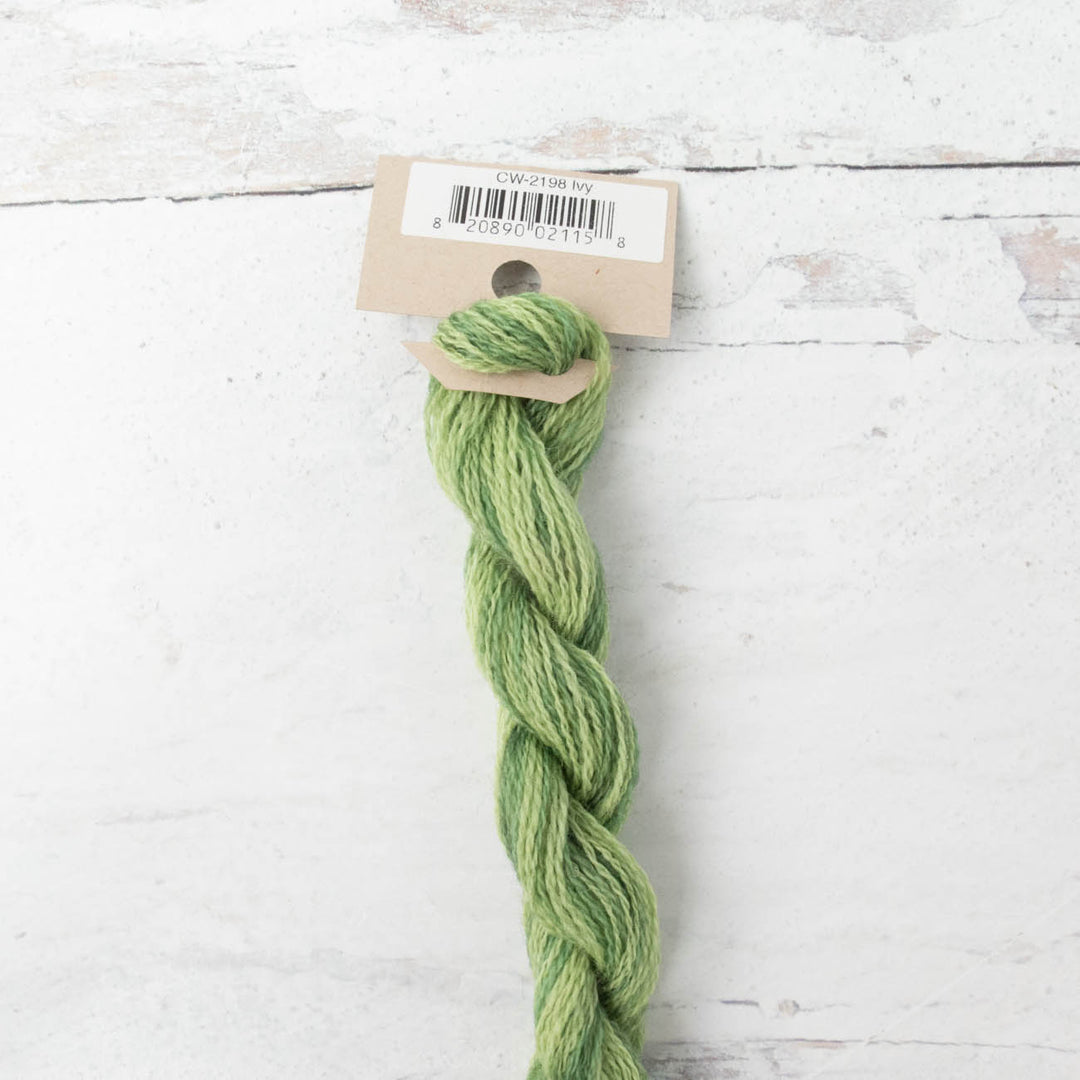 Hand Over Dyed Crewel Wool Yarn - Ivy (2198)