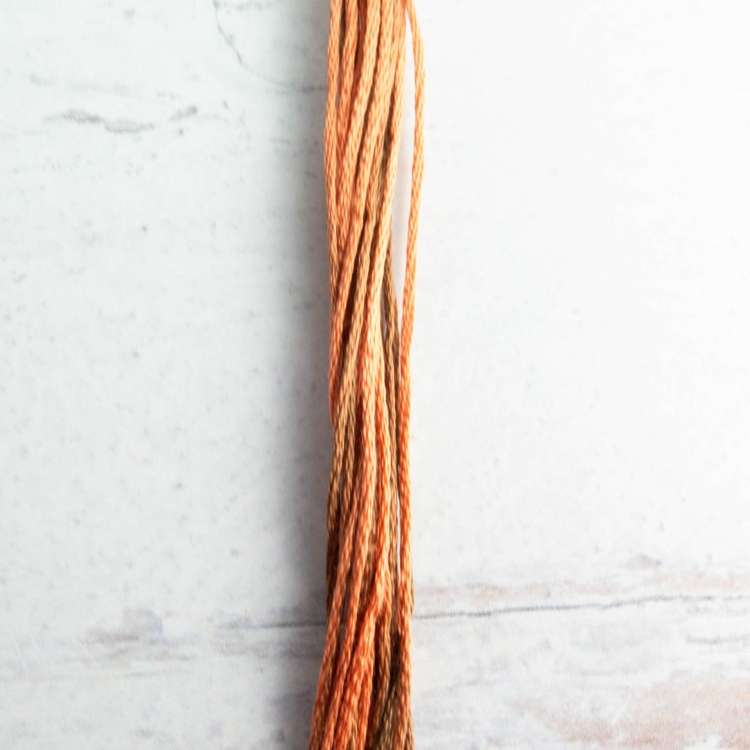 WDW 6-Strand Floss - Copper (2236)