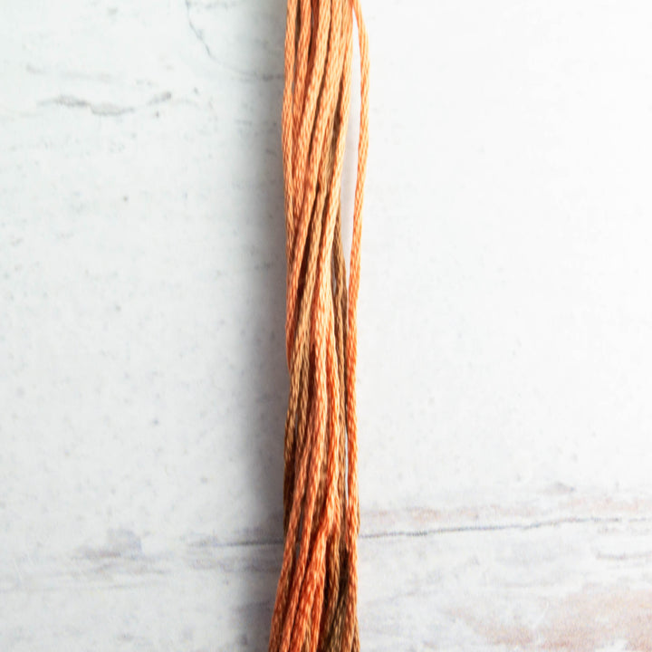 WDW 6-Strand Floss - Copper (2236)