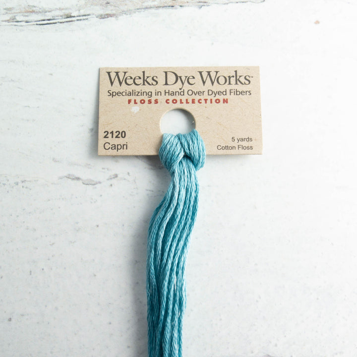 WDW 6-Strand Floss - Capri (2120)