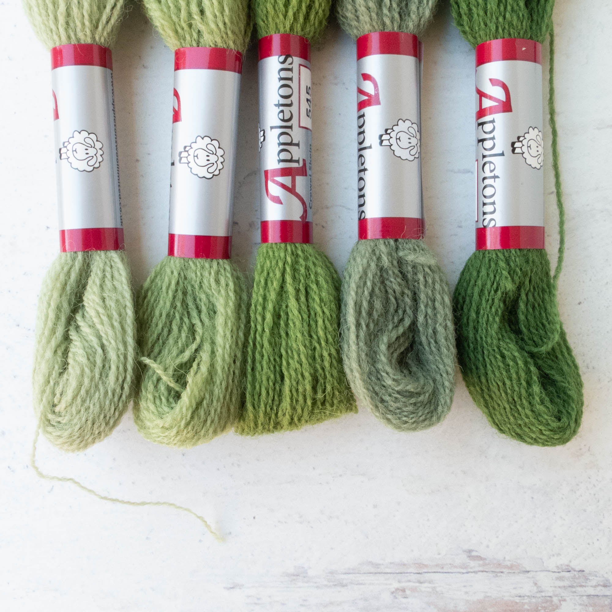 Appletons Crewel Weight Wool - Muted Greens – Snuggly Monkey