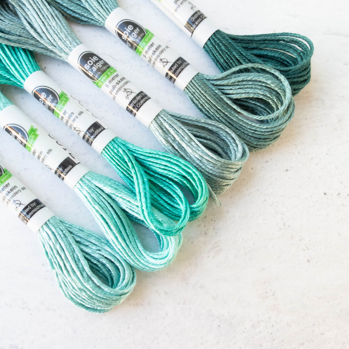 Soie d'Alger Silk Embroidery Thread - Blue Green