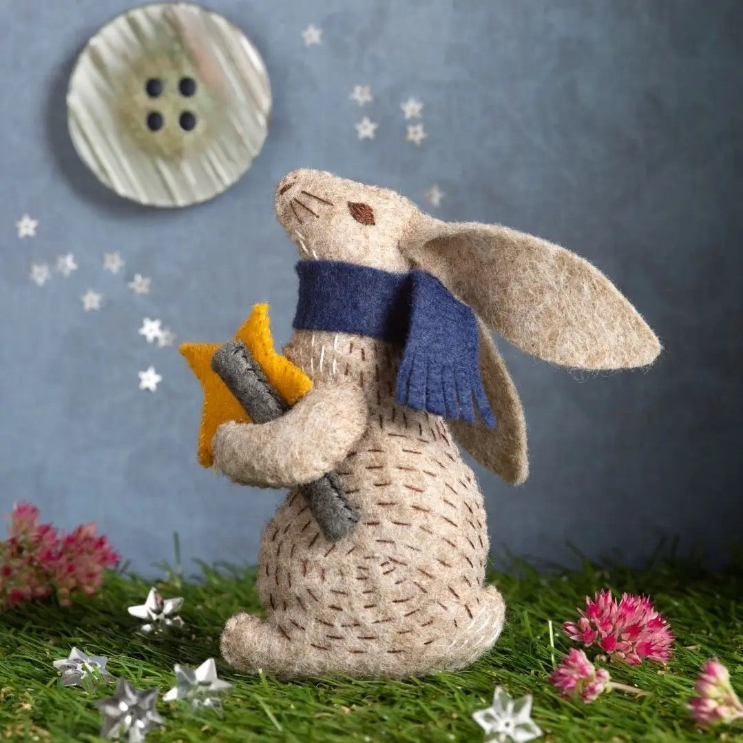 Professor Hare Stargazer Felt Embroidery Craft Kit