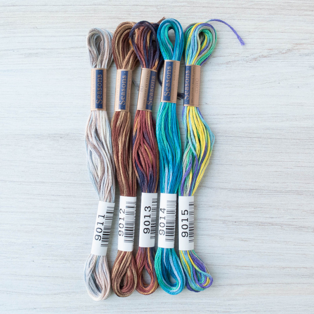 COSMO Seasons Variegated Embroidery Floss - 9011, 9012, 9013, 9014, 9015 Floss - Snuggly Monkey
