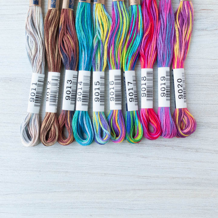 Cosmo Seasons Variegated Embroidery Floss Set - 9000 Series Collection II Floss - Snuggly Monkey