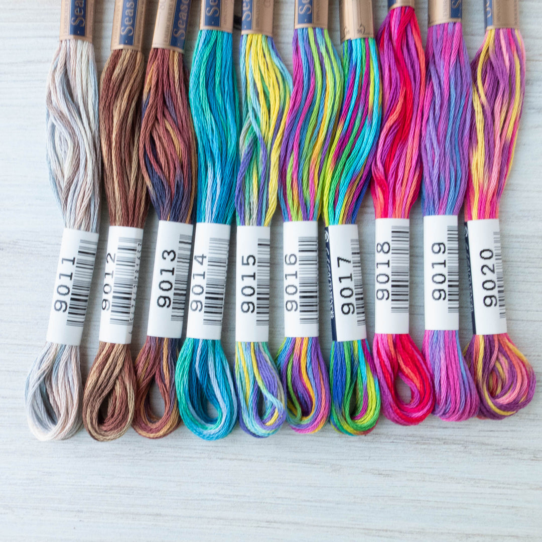 Cosmo Seasons Variegated Embroidery Floss Set - 9000 Series Collection II Floss - Snuggly Monkey