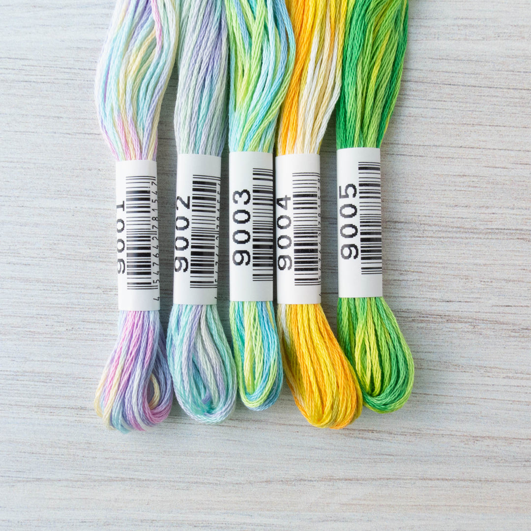 Cosmo Seasons Variegated Embroidery Floss Set - 9000 Series