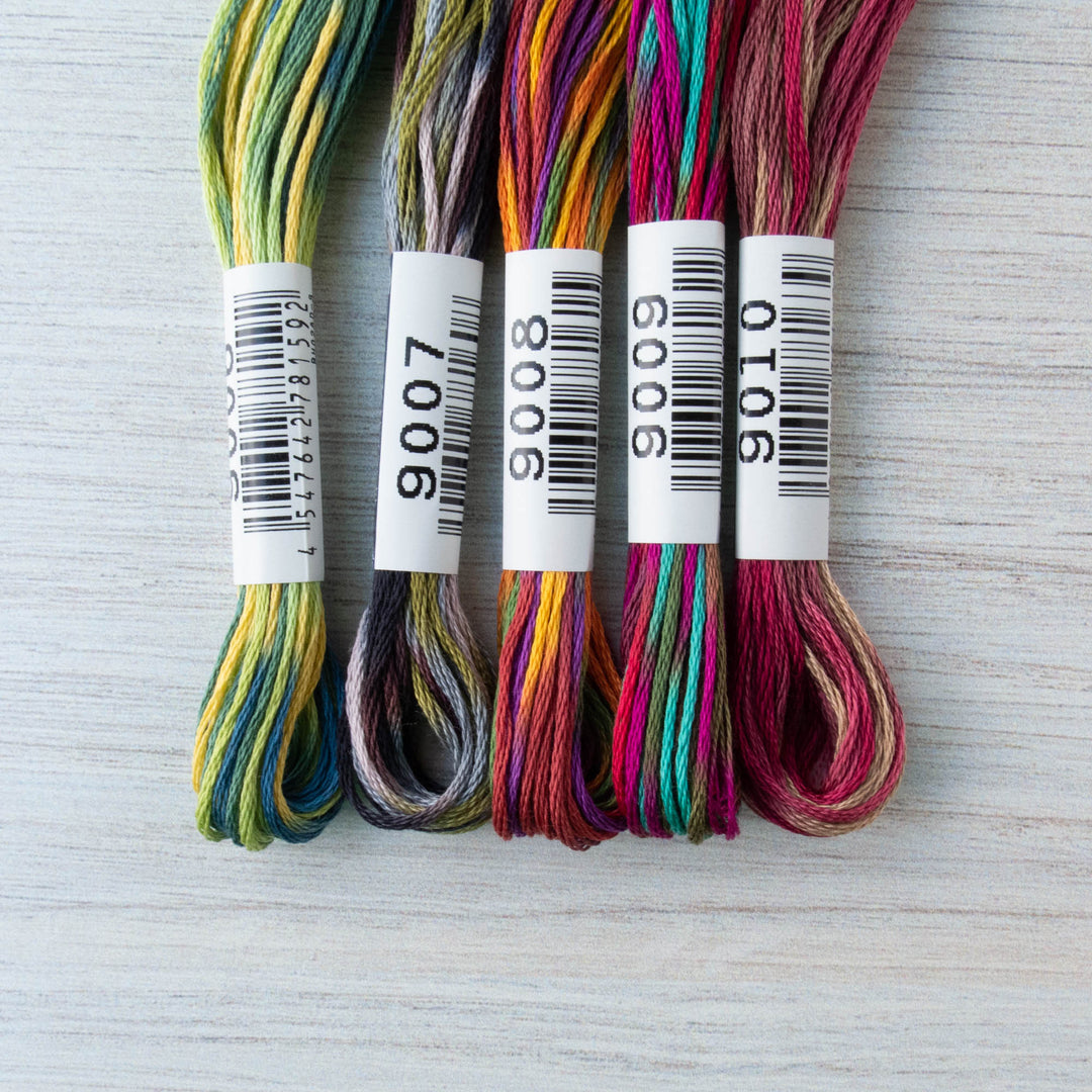 Cosmo Seasons Variegated Embroidery Floss