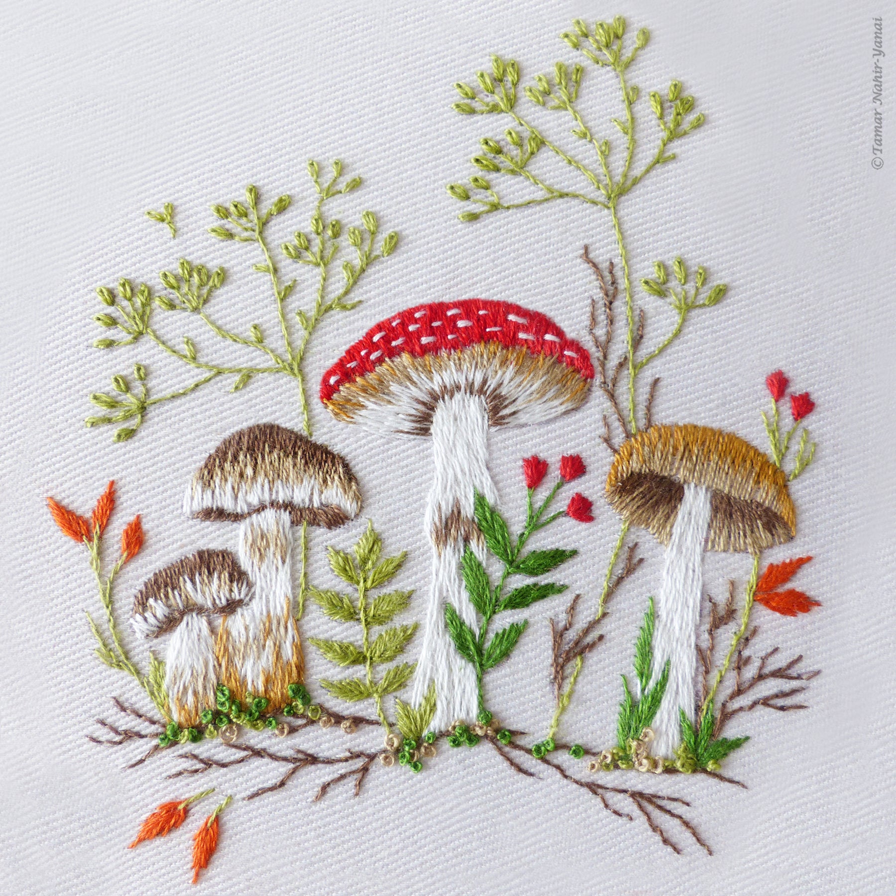 Mushroom Embroidery Digital Kit Beginner, Nature Embroidery PDF DIY KITS, Mushroom  Embroidery Diy Kit, Gift for Her, Fall Embroidery 