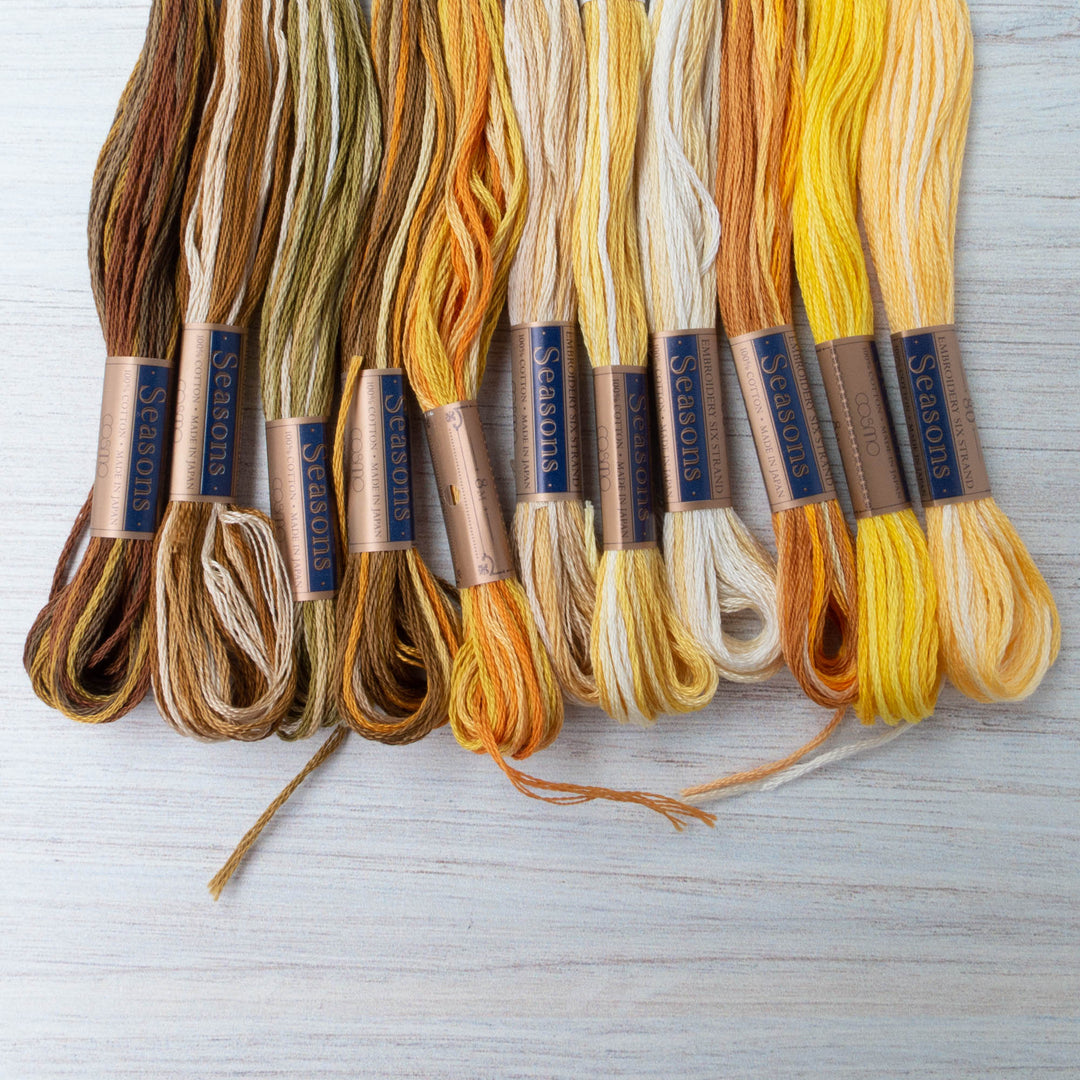 Cosmo Seasons Variegated Embroidery Floss (8027 - 8037)